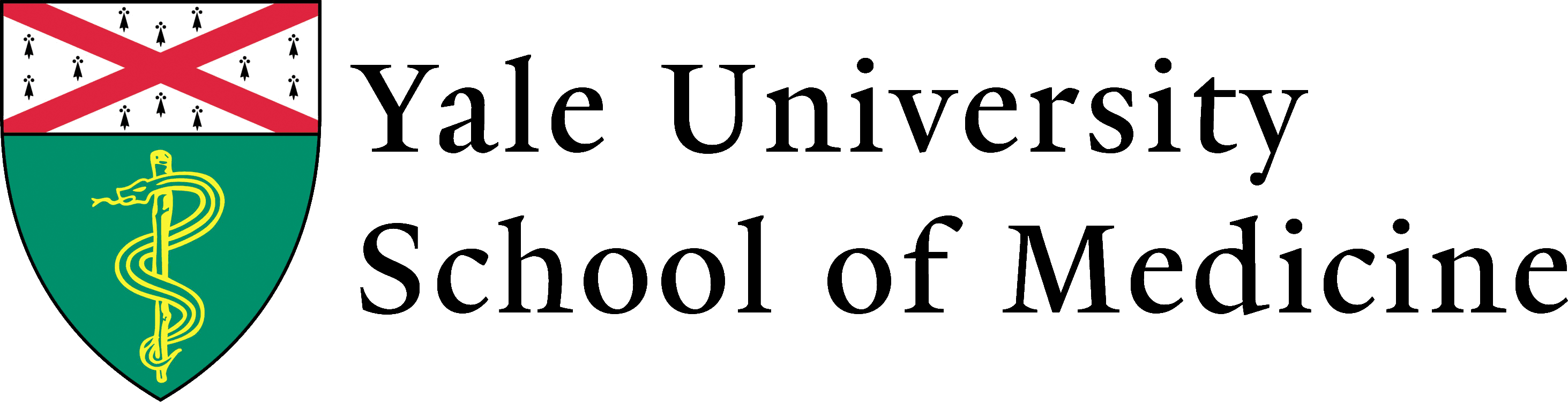 Partner logo 6